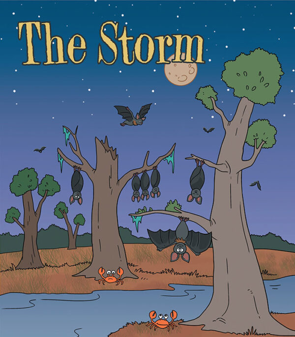 The Storm